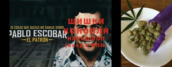 гидра Зеленодольск