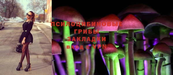 2c-b Заволжск