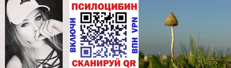 Псилоцибиновые грибы Psilocybe  Купить где  Очёр 
